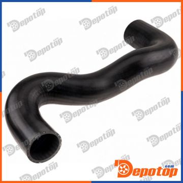 Gaine de suralimentation pour PEUGEOT | GPP-PE-031, 09-0097